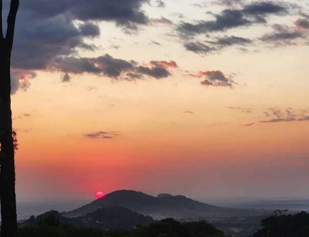 WhatsApp Image 2025-09-06 at 8.31.14 AM (1)