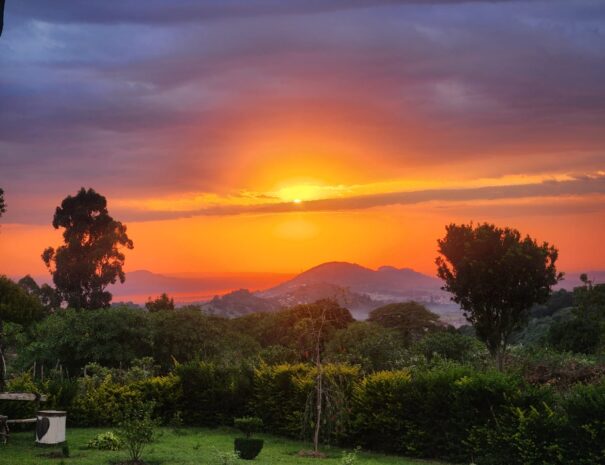 WhatsApp Image 2025-09-06 at 8.31.14 AM (3)