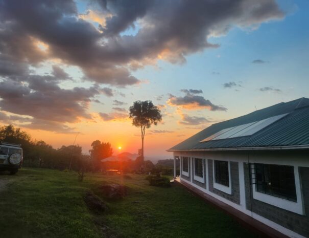 WhatsApp Image 2025-09-06 at 8.31.14 AM