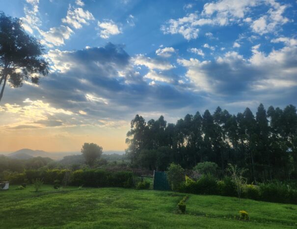 WhatsApp Image 2025-09-06 at 8.31.15 AM (2)