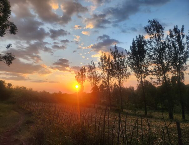 WhatsApp Image 2025-09-06 at 8.31.15 AM (3)