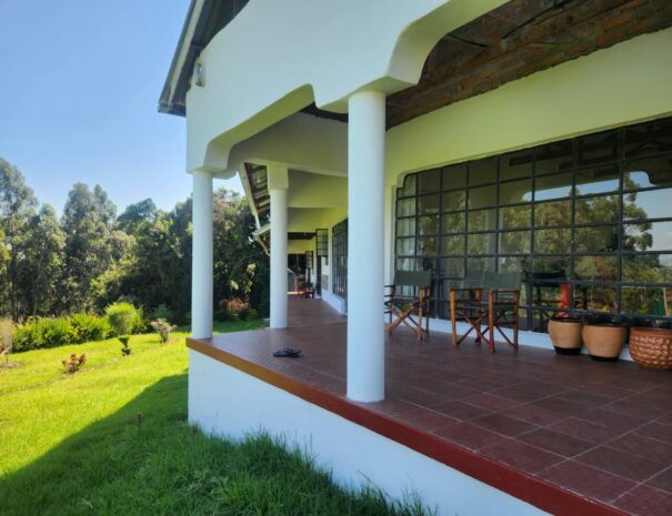 WhatsApp Image 2025-09-06 at 8.31.15 AM