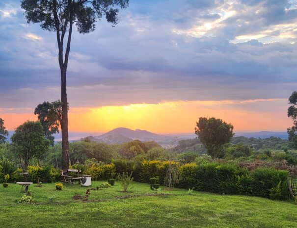 WhatsApp Image 2025-09-06 at 8.31.16 AM (1)